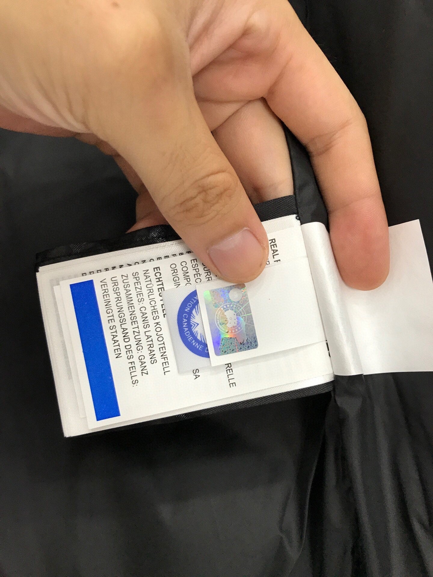 Parka down jacket unisex. short style without a fur collar.